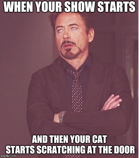 Cats... | WHEN YOUR SHOW STARTS; AND THEN YOUR CAT STARTS SCRATCHING AT THE DOOR | image tagged in memes,face you make robert downey jr | made w/ Imgflip meme maker