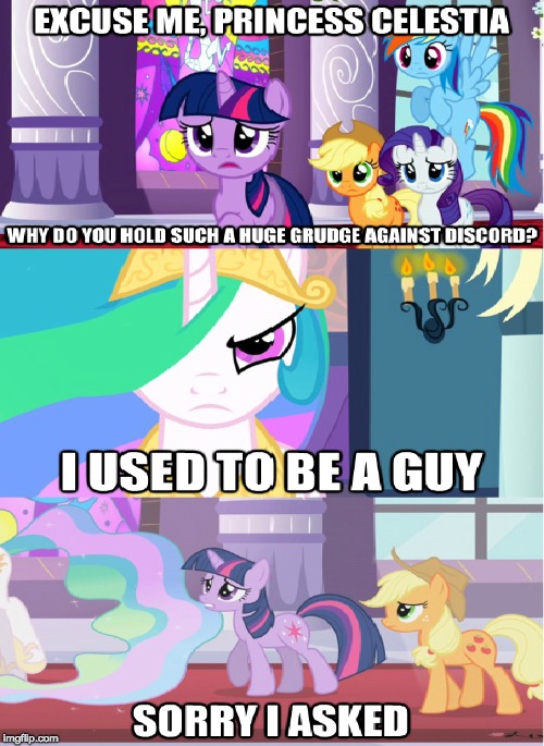 WTF!!! | image tagged in memes,wtf,ponies | made w/ Imgflip meme maker