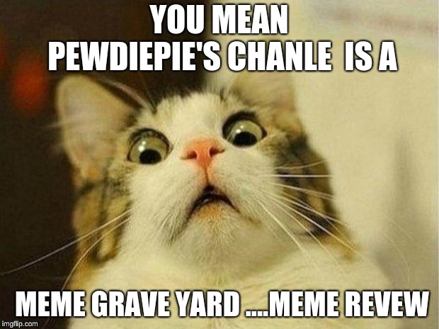 Scared Cat Meme | YOU MEAN PEWDIEPIE'S CHANLE  IS A; MEME GRAVE YARD ....MEME REVEW | image tagged in memes,scared cat | made w/ Imgflip meme maker