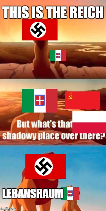 Simba Shadowy Place | THIS IS THE REICH; LEBANSRAUM | image tagged in memes,simba shadowy place | made w/ Imgflip meme maker