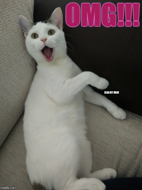 Surprised Cat | OMG!!! ELSA BY JULIE | image tagged in cat,cats,funny cats,excited cat,cute cat | made w/ Imgflip meme maker
