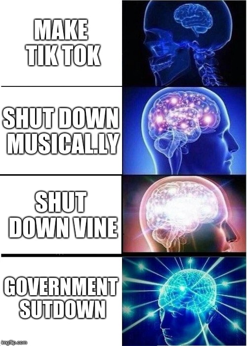 Expanding Brain | MAKE TIK TOK; SHUT DOWN MUSICAL.LY; SHUT DOWN VINE; GOVERNMENT SUTDOWN | image tagged in memes,expanding brain | made w/ Imgflip meme maker