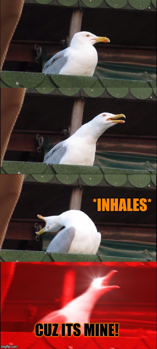 Inhaling Seagull Meme | *INHALES* CUZ ITS MINE! | image tagged in memes,inhaling seagull | made w/ Imgflip meme maker
