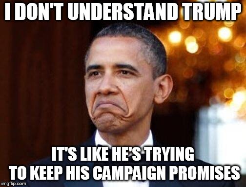 Obama not bad | I DON'T UNDERSTAND TRUMP; IT'S LIKE HE'S TRYING TO KEEP HIS CAMPAIGN PROMISES | image tagged in obama not bad | made w/ Imgflip meme maker