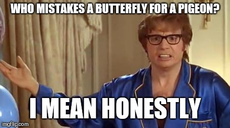 Austin Powers Honestly Meme | WHO MISTAKES A BUTTERFLY FOR A PIGEON? I MEAN HONESTLY | image tagged in memes,austin powers honestly | made w/ Imgflip meme maker