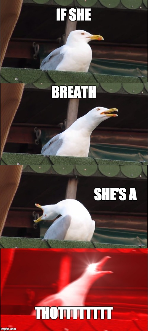 Inhaling Seagull Meme | IF SHE; BREATH; SHE'S A; THOTTTTTTTT | image tagged in memes,inhaling seagull | made w/ Imgflip meme maker