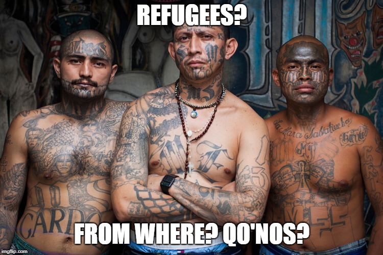 REFUGEES? FROM WHERE? QO'NOS? | image tagged in ms13 | made w/ Imgflip meme maker