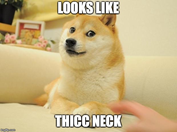 Doge 2 Meme | LOOKS LIKE; THICC NECK | image tagged in memes,doge 2 | made w/ Imgflip meme maker