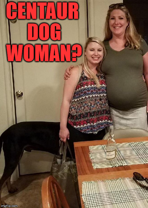 She might join the circus? | CENTAUR DOG WOMAN? | image tagged in memes,centaur,optical illusion,funny,goofy,humor | made w/ Imgflip meme maker