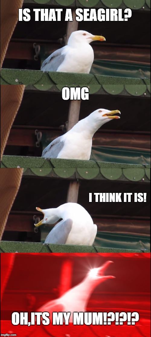 shocked seagull | IS THAT A SEAGIRL? OMG; I THINK IT IS! OH,ITS MY MUM!?!?!? | image tagged in memes,inhaling seagull,shocked,mum,funny | made w/ Imgflip meme maker