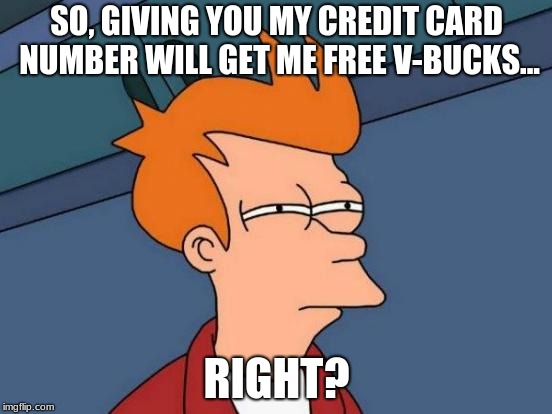 Futurama Fry | SO, GIVING YOU MY CREDIT CARD NUMBER WILL GET ME FREE V-BUCKS... RIGHT? | image tagged in memes,futurama fry | made w/ Imgflip meme maker