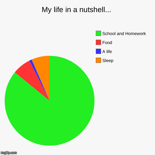 My life in a nutshell... | Sleep, A life, Food, School and Homework | image tagged in funny,pie charts | made w/ Imgflip chart maker