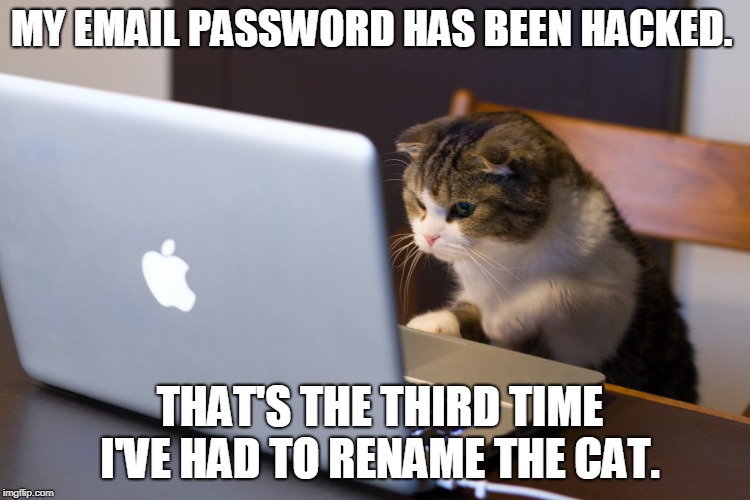 Emai password | MY EMAIL PASSWORD HAS BEEN HACKED. THAT'S THE THIRD TIME I'VE HAD TO RENAME THE CAT. | image tagged in cats | made w/ Imgflip meme maker