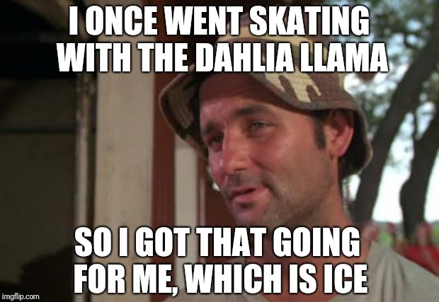 I ONCE WENT SKATING WITH THE DAHLIA LLAMA SO I GOT THAT GOING FOR ME, WHICH IS ICE | made w/ Imgflip meme maker