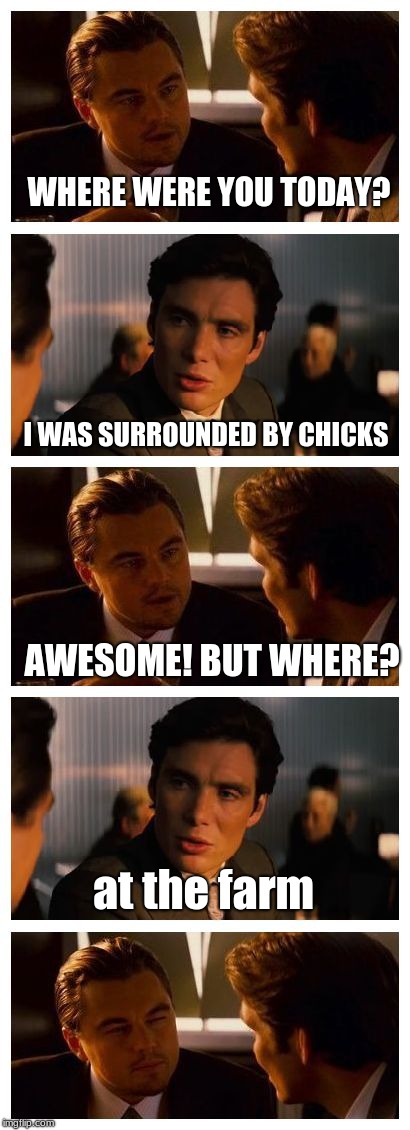 Leonardo Inception (Extended) | WHERE WERE YOU TODAY? I WAS SURROUNDED BY CHICKS; AWESOME! BUT WHERE? at the farm | image tagged in leonardo inception extended | made w/ Imgflip meme maker