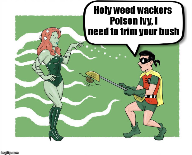 Doing some trim work. | Holy weed wackers Poison Ivy, I need to trim your bush | image tagged in memes,robin,poison ivy,funny,bush | made w/ Imgflip meme maker