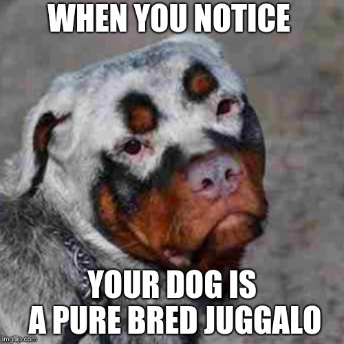 ICP Dog | WHEN YOU NOTICE; YOUR DOG IS A PURE BRED JUGGALO | image tagged in icp dog | made w/ Imgflip meme maker