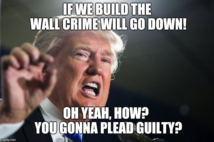 donald trump | IF WE BUILD THE WALL CRIME WILL GO DOWN! OH YEAH, HOW?  YOU GONNA PLEAD GUILTY? | image tagged in donald trump | made w/ Imgflip meme maker