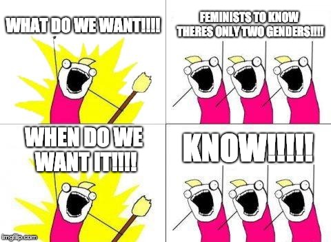 What Do We Want | WHAT DO WE WANT!!!! FEMINISTS TO KNOW THERES ONLY TWO GENDERS!!!! KNOW!!!!! WHEN DO WE WANT IT!!!! | image tagged in memes,what do we want | made w/ Imgflip meme maker