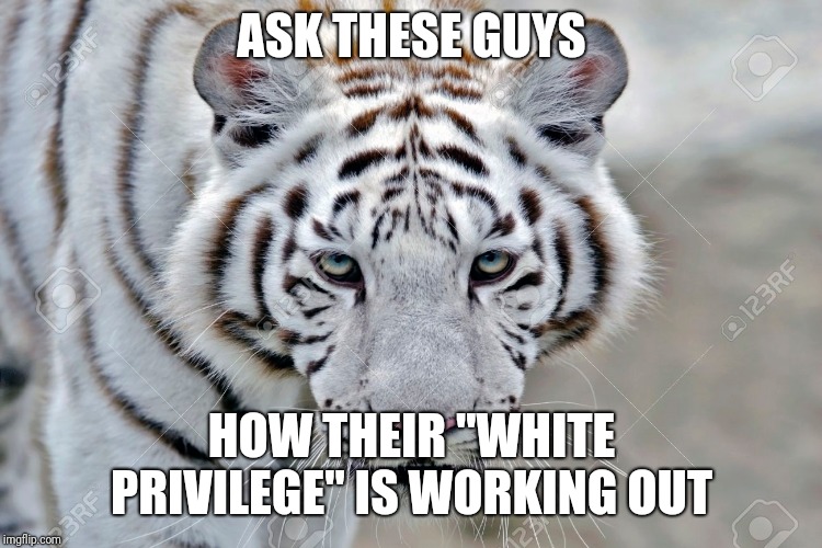 White Privilege  | ASK THESE GUYS; HOW THEIR "WHITE PRIVILEGE" IS WORKING OUT | image tagged in politics,white privilege | made w/ Imgflip meme maker