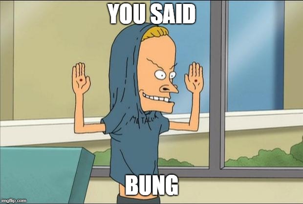 Beavis Cornholio | YOU SAID BUNG | image tagged in beavis cornholio | made w/ Imgflip meme maker