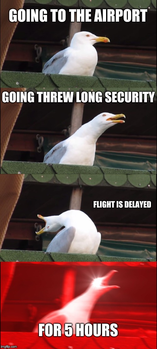 Inhaling Seagull | GOING TO THE AIRPORT; GOING THREW LONG SECURITY; FLIGHT IS DELAYED; FOR 5 HOURS | image tagged in memes,inhaling seagull | made w/ Imgflip meme maker