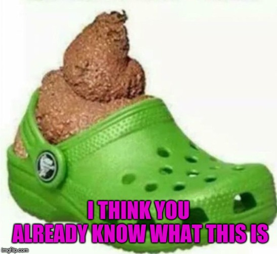 You know what it is!!! | I THINK YOU ALREADY KNOW WHAT THIS IS | image tagged in crock of shit,memes,crocs,shoes,funny,crapola | made w/ Imgflip meme maker