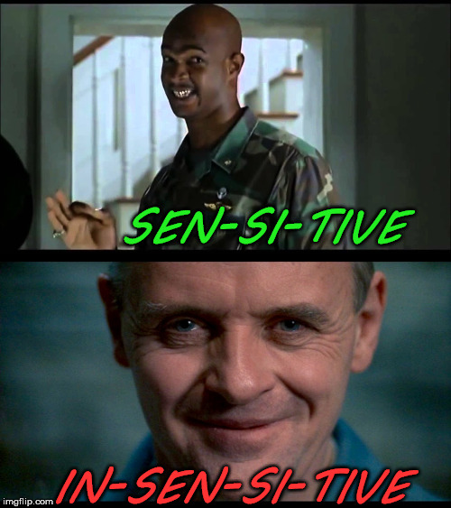 I will be sen-si-tive to your needs | SEN-SI-TIVE; IN-SEN-SI-TIVE | image tagged in hannibal,memes,major payne,feelings,overly sensitive,first world problems | made w/ Imgflip meme maker