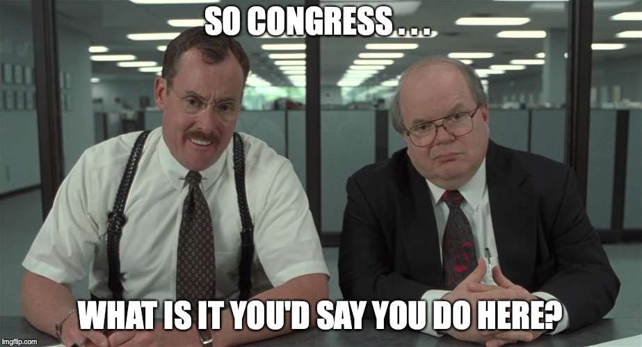 What Would You Say | SO CONGRESS . . . WHAT IS IT YOU'D SAY YOU DO HERE? | image tagged in what would you say,congress | made w/ Imgflip meme maker