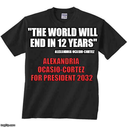 Yup, she really said the world will end in 12 years. | "THE WORLD WILL END IN 12 YEARS"; ALEXANDRIA OCASIO-CORTEZ; ALEXANDRIA OCASIO-CORTEZ  FOR PRESIDENT 2032 | image tagged in t-shirt,alexandria ocasio-cortez | made w/ Imgflip meme maker