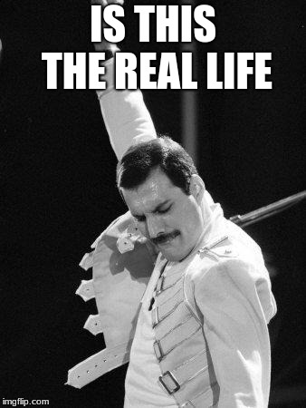 Freddie Mercury | IS THIS THE REAL LIFE | image tagged in freddie mercury | made w/ Imgflip meme maker