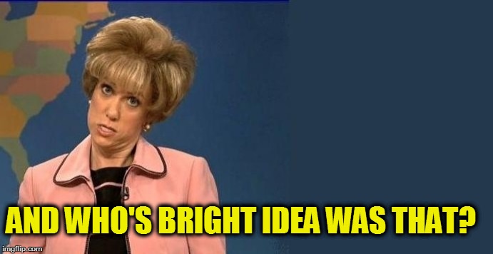 AND WHO'S BRIGHT IDEA WAS THAT? | made w/ Imgflip meme maker
