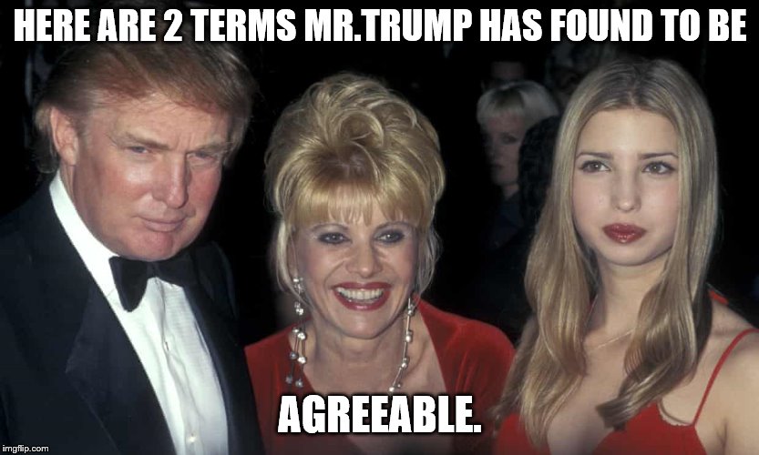 Donald Ivana Ivanka | HERE ARE 2 TERMS MR.TRUMP HAS FOUND TO BE AGREEABLE. | image tagged in donald ivana ivanka | made w/ Imgflip meme maker