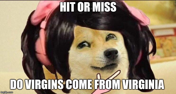 Hit or miss | HIT OR MISS; DO VIRGINS COME FROM VIRGINIA | image tagged in hit or miss | made w/ Imgflip meme maker