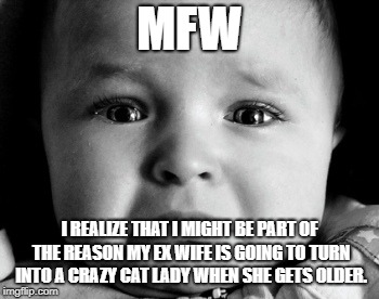 Sad Baby Meme | MFW; I REALIZE THAT I MIGHT BE PART OF THE REASON MY EX WIFE IS GOING TO TURN INTO A CRAZY CAT LADY WHEN SHE GETS OLDER. | image tagged in memes,sad baby | made w/ Imgflip meme maker