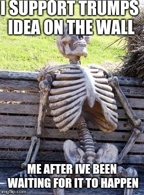 Waiting Skeleton | I SUPPORT TRUMPS IDEA ON THE WALL; ME AFTER IVE BEEN WAITING FOR IT TO HAPPEN | image tagged in memes,waiting skeleton | made w/ Imgflip meme maker