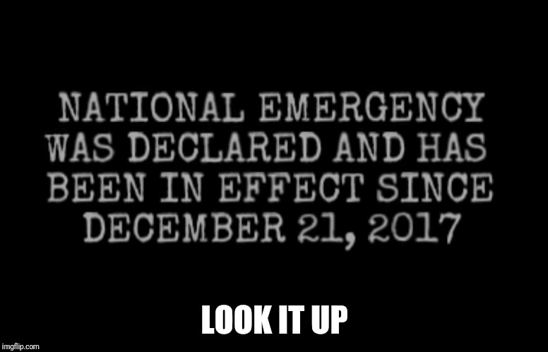 National Emergency | LOOK IT UP | image tagged in border wall,donald trump | made w/ Imgflip meme maker