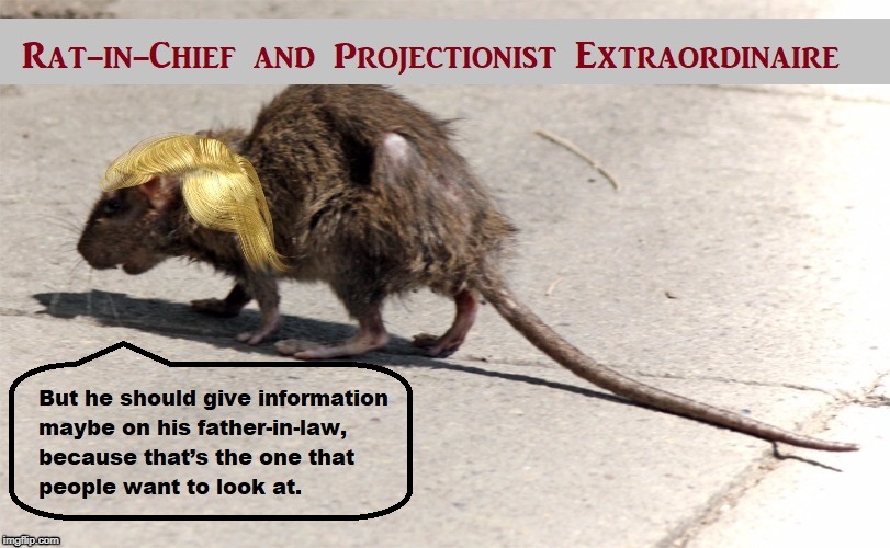 Rat Calls Rat a Rat | image tagged in trump,michael cohen,trump mobster,mobsters,rat | made w/ Imgflip meme maker