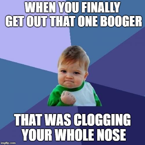 Success Kid Meme | WHEN YOU FINALLY GET OUT THAT ONE BOOGER; THAT WAS CLOGGING YOUR WHOLE NOSE | image tagged in memes,success kid | made w/ Imgflip meme maker