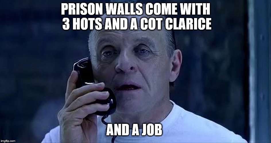 hannibal lector | PRISON WALLS COME WITH 3 HOTS AND A COT CLARICE; AND A JOB | image tagged in hannibal lector | made w/ Imgflip meme maker