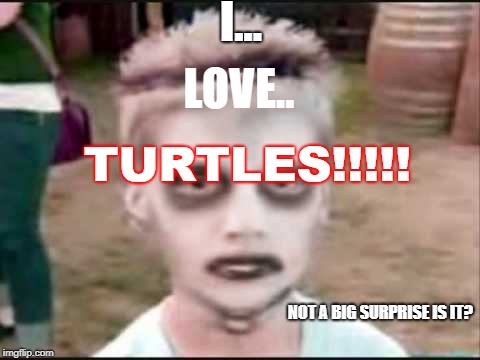 The I like Turtles kid | I... LOVE.. TURTLES!!!!! NOT A BIG SURPRISE IS IT? | image tagged in the i like turtles kid | made w/ Imgflip meme maker