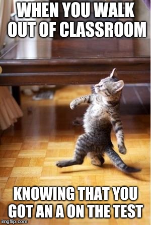 Walking Cat | WHEN YOU WALK OUT OF CLASSROOM; KNOWING THAT YOU GOT AN A ON THE TEST | image tagged in walking cat | made w/ Imgflip meme maker