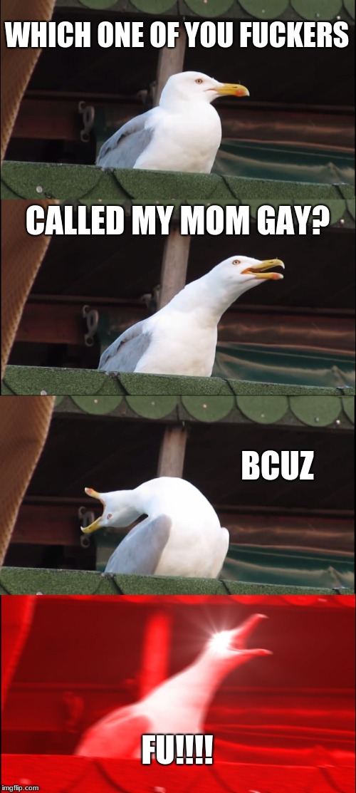 Inhaling Seagull Meme | WHICH ONE OF YOU FUCKERS; CALLED MY MOM GAY? BCUZ; FU!!!! | image tagged in memes,inhaling seagull | made w/ Imgflip meme maker