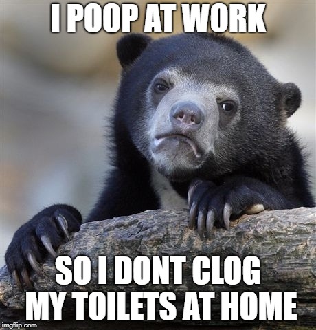 Confession Bear Meme | I POOP AT WORK; SO I DONT CLOG MY TOILETS AT HOME | image tagged in memes,confession bear | made w/ Imgflip meme maker