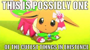 Aww, eevee! | THIS IS POSSIBLY ONE; OF THE CUTEST TIHNGS IN EXISTENCE | image tagged in aww eevee | made w/ Imgflip meme maker