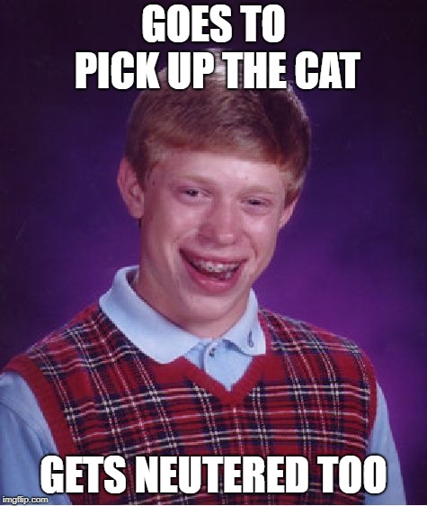 Bad Luck Brian Meme | GOES TO PICK UP THE CAT GETS NEUTERED TOO | image tagged in memes,bad luck brian | made w/ Imgflip meme maker