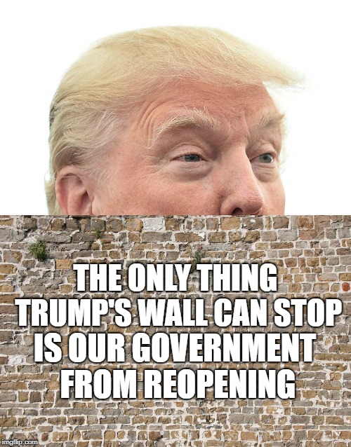 Trump's Wall | THE ONLY THING TRUMP'S WALL CAN STOP; IS OUR GOVERNMENT FROM REOPENING | image tagged in trump wall,trump shutdown,government shutdown,political meme | made w/ Imgflip meme maker
