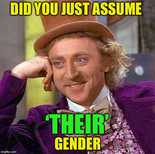 Creepy Condescending Wonka Meme | DID YOU JUST ASSUME ‘THEIR’ GENDER | image tagged in memes,creepy condescending wonka | made w/ Imgflip meme maker