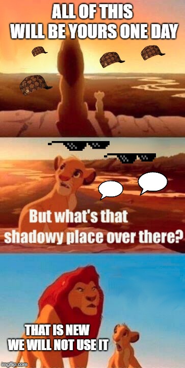 Simba Shadowy Place | ALL OF THIS WILL BE YOURS ONE DAY; THAT IS NEW WE WILL NOT USE IT | image tagged in memes,simba shadowy place | made w/ Imgflip meme maker