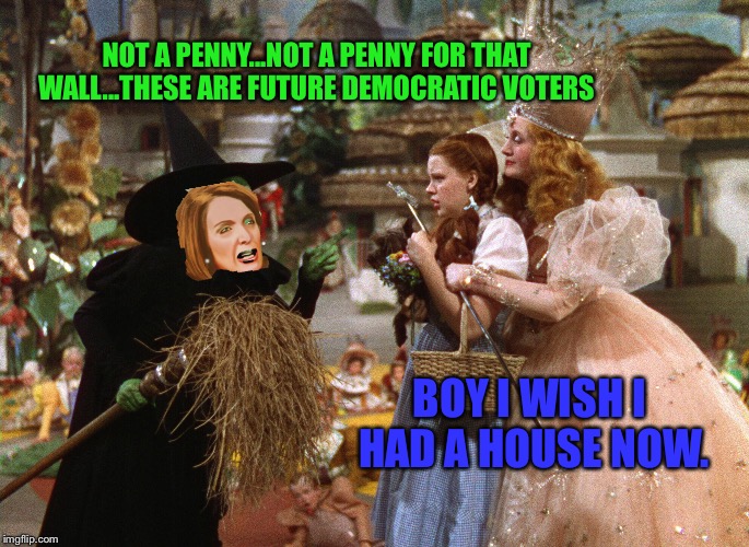 NOT A PENNY...NOT A PENNY FOR THAT WALL...THESE ARE FUTURE DEMOCRATIC VOTERS; BOY I WISH I HAD A HOUSE NOW. | image tagged in wicked pelosi | made w/ Imgflip meme maker